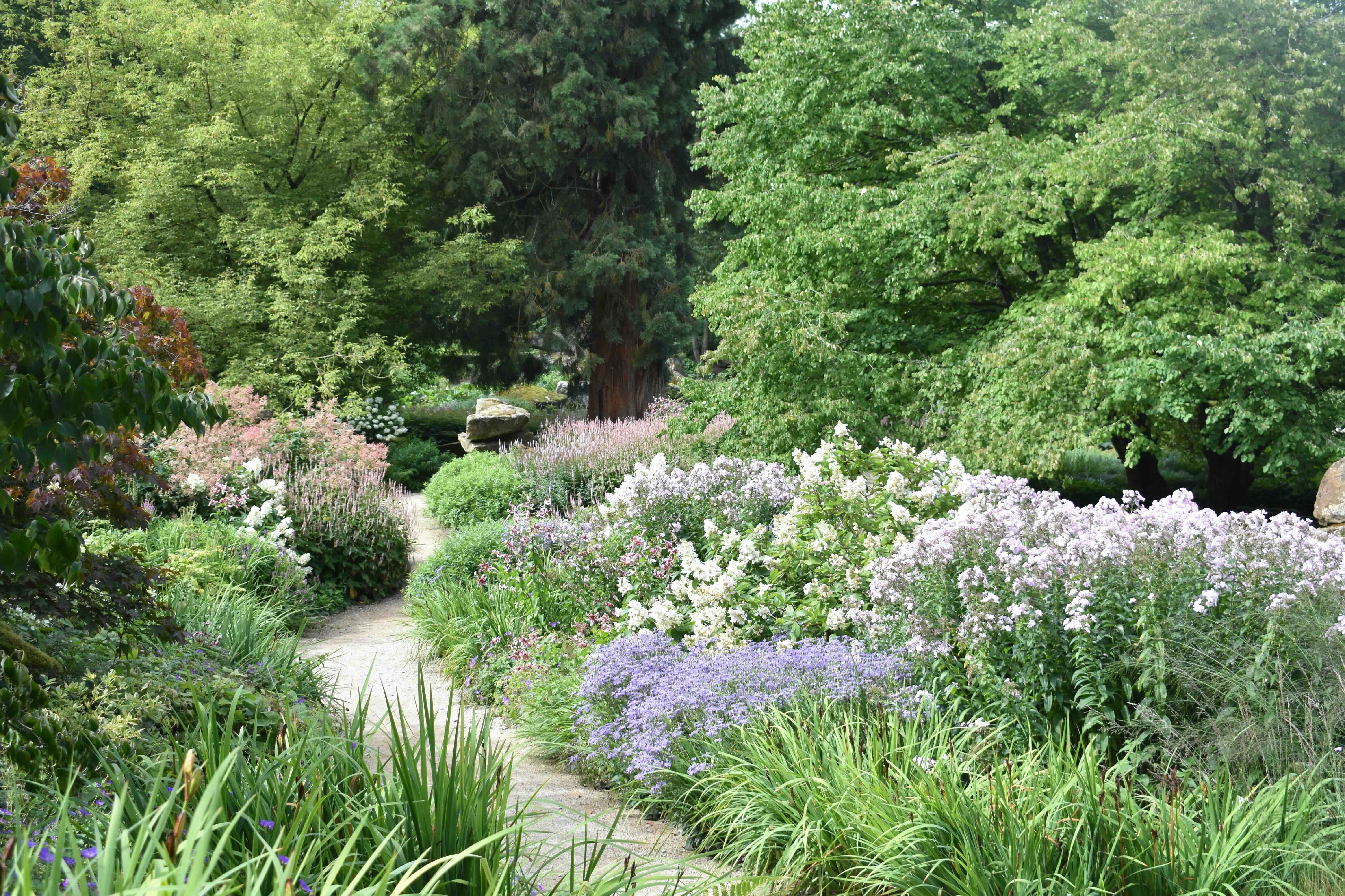 Garden design and planting Vancouver Island